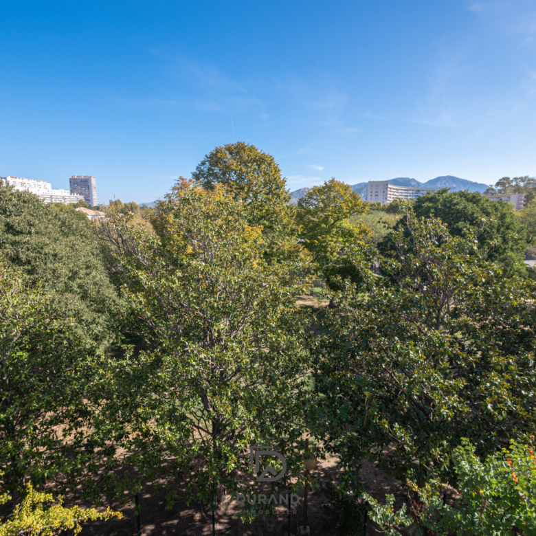 APPARTEMENT - TERRASSE - SAINT ANNE - 13008 MARSEILLE