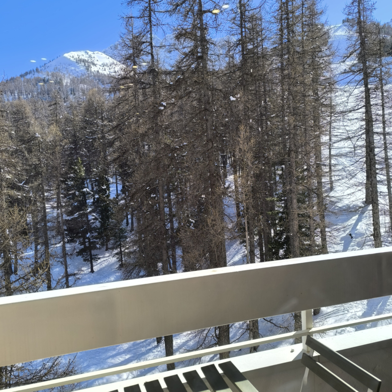 agréable T1 bis SKIS AUX PIEDS