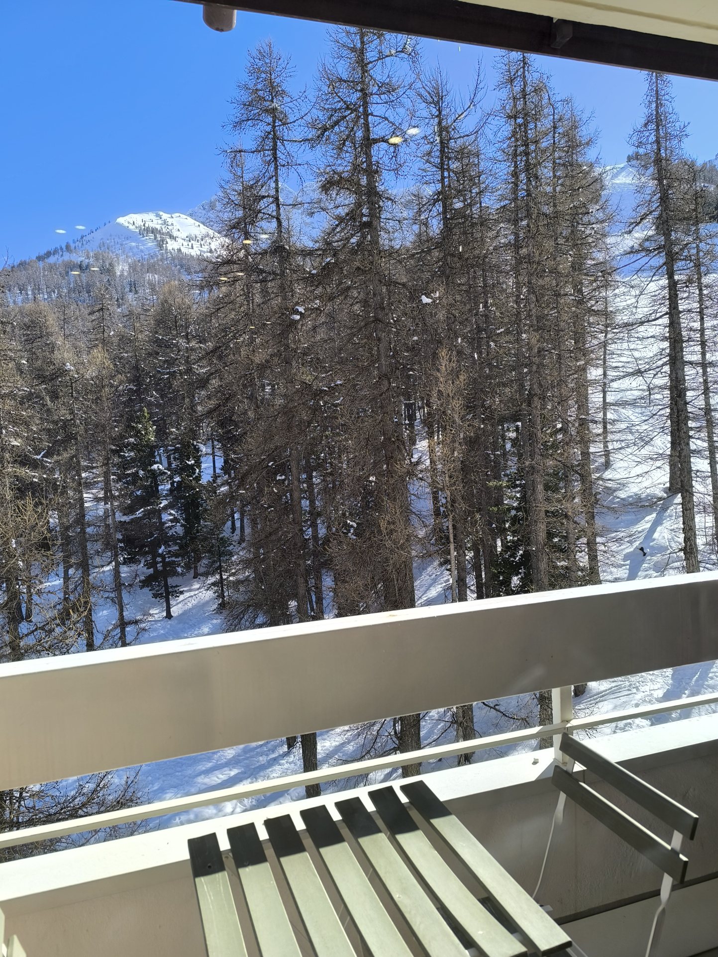 agréable T1 bis SKIS AUX PIEDS