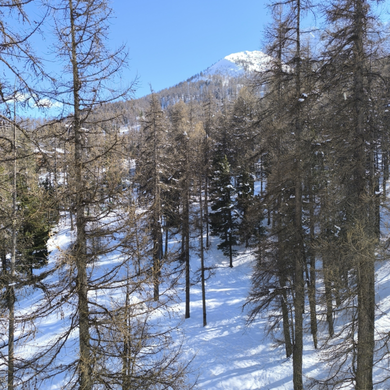 agréable T1 bis SKIS AUX PIEDS