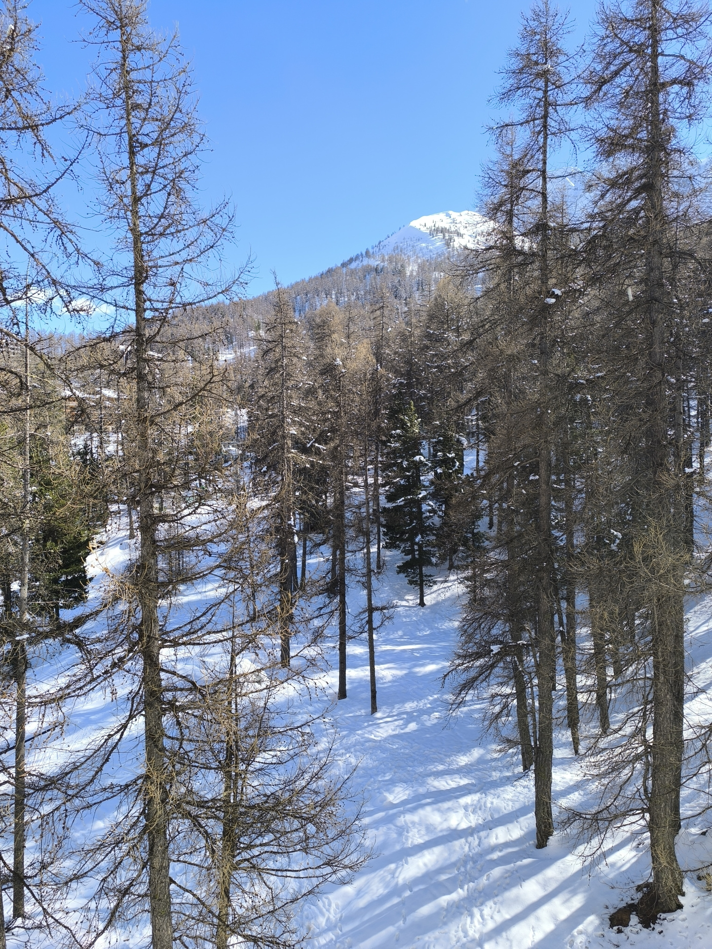agréable T1 bis SKIS AUX PIEDS