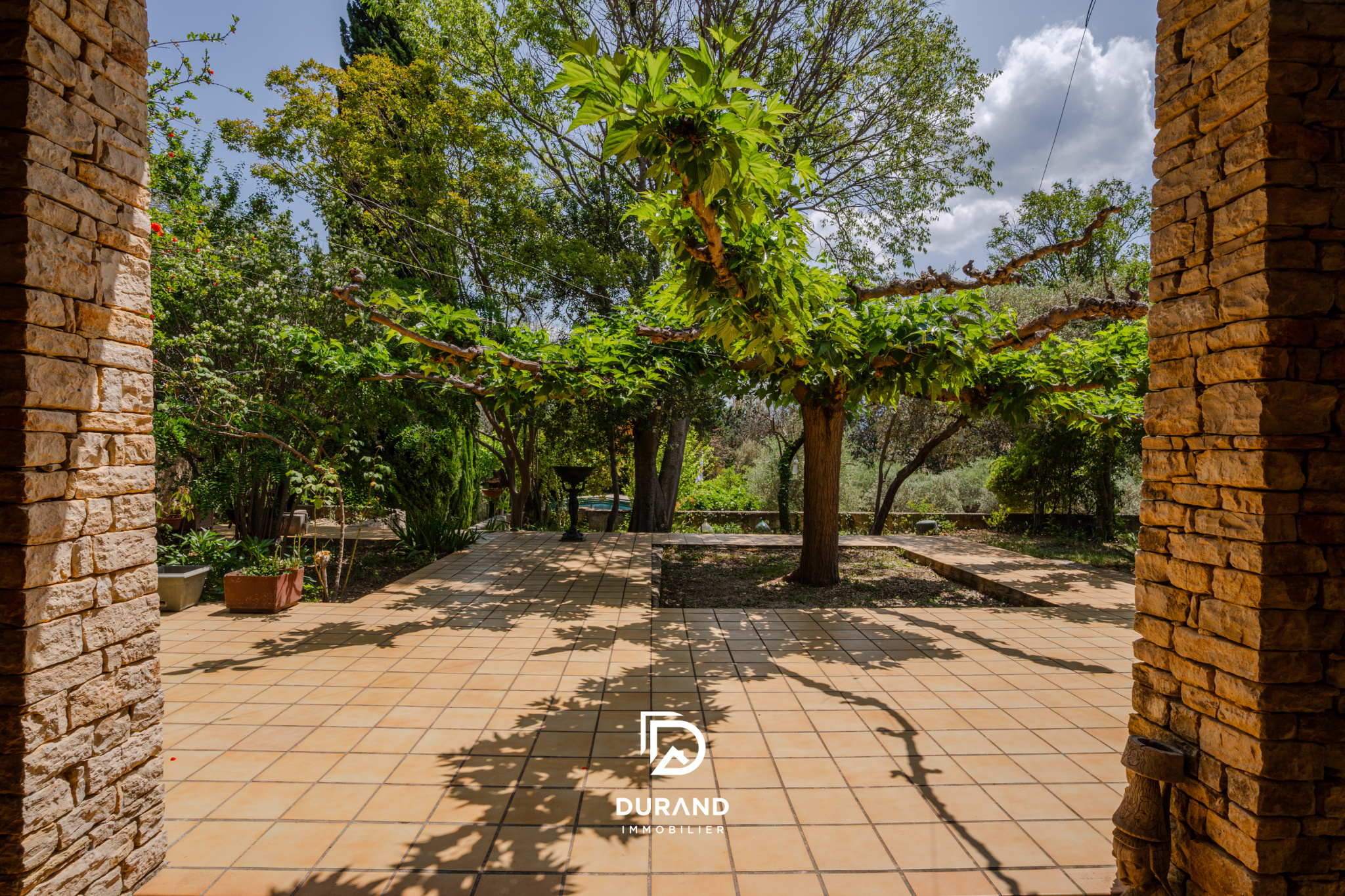 MAISON - OLIVERAIE - PROVENCE - 83640 SAINT ZACHARIE
