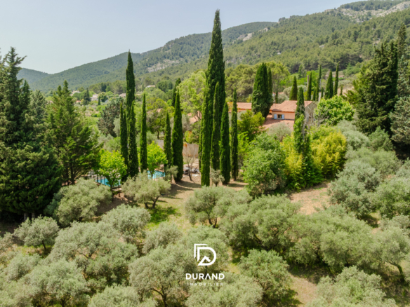 MAISON - OLIVERAIE - PROVENCE - 83640 SAINT ZACHARIE