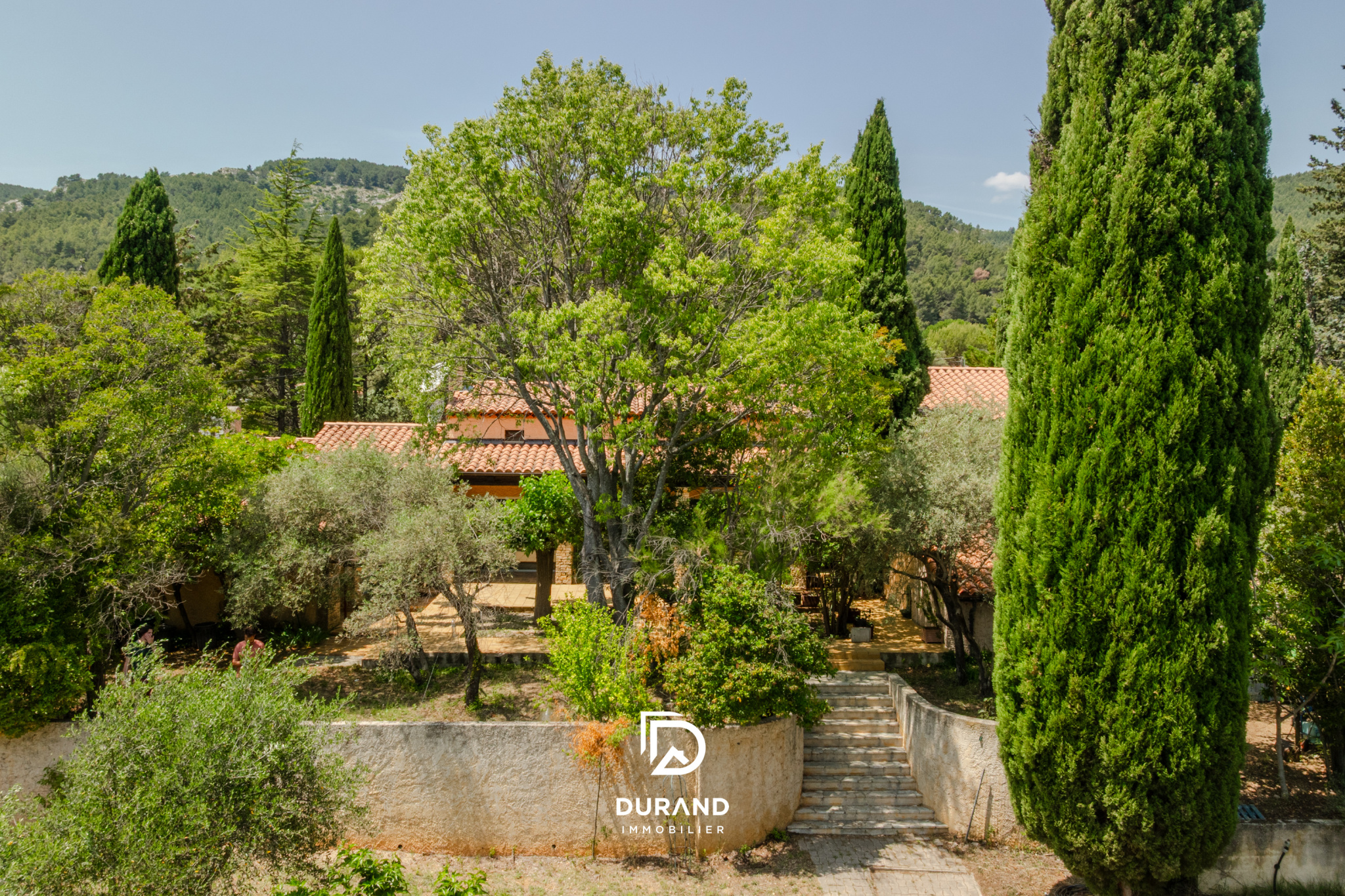 MAISON - OLIVERAIE - PROVENCE - 83640 SAINT ZACHARIE