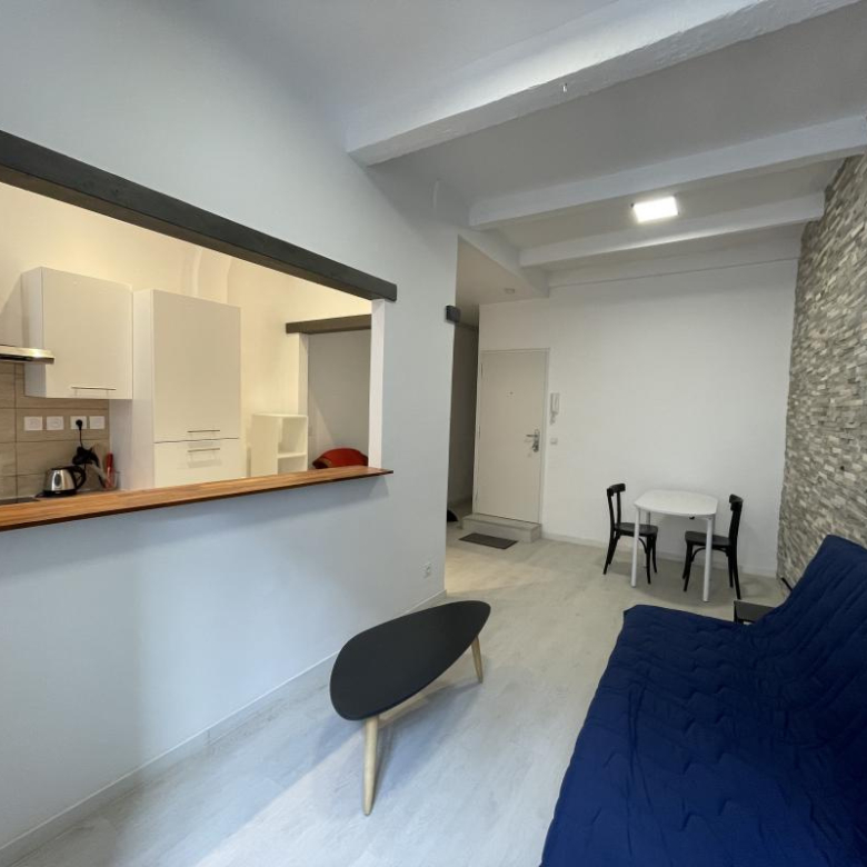 T1 entèrement rénové dans Le Panier