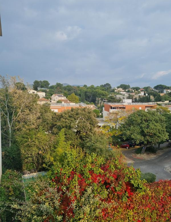 OLIVES - 3 LUCS 12éme