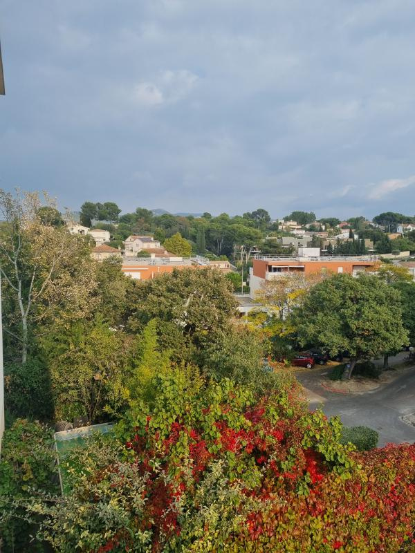 OLIVES - 3 LUCS 12éme