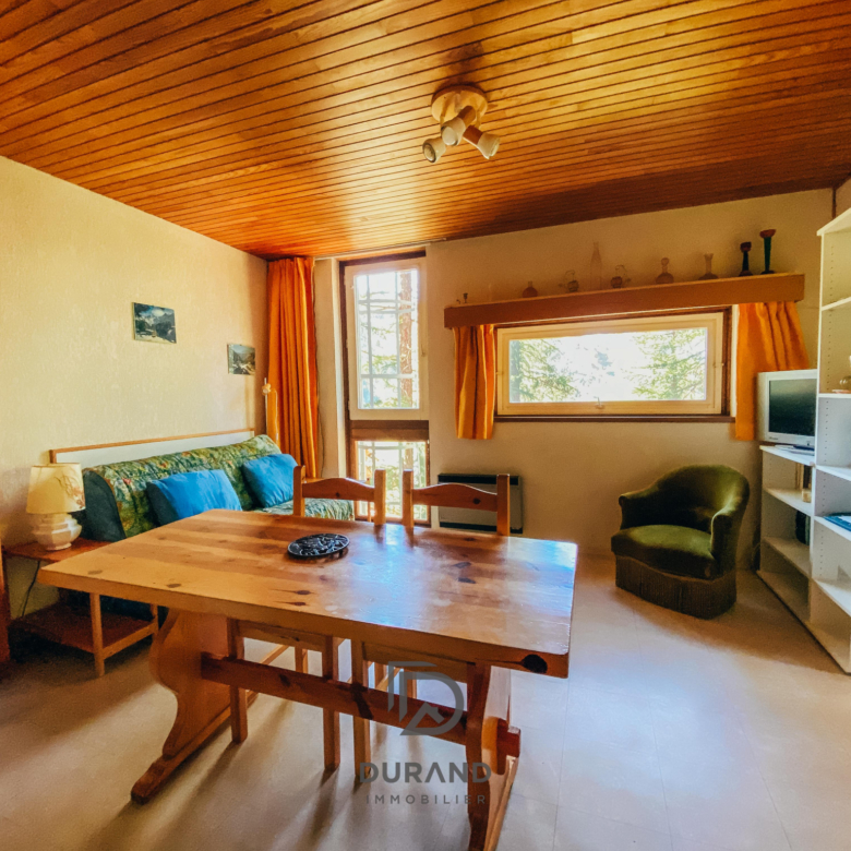 APPARTEMENT DE STATION AVEC TERRASSE 05560 VARS LES CLAUX