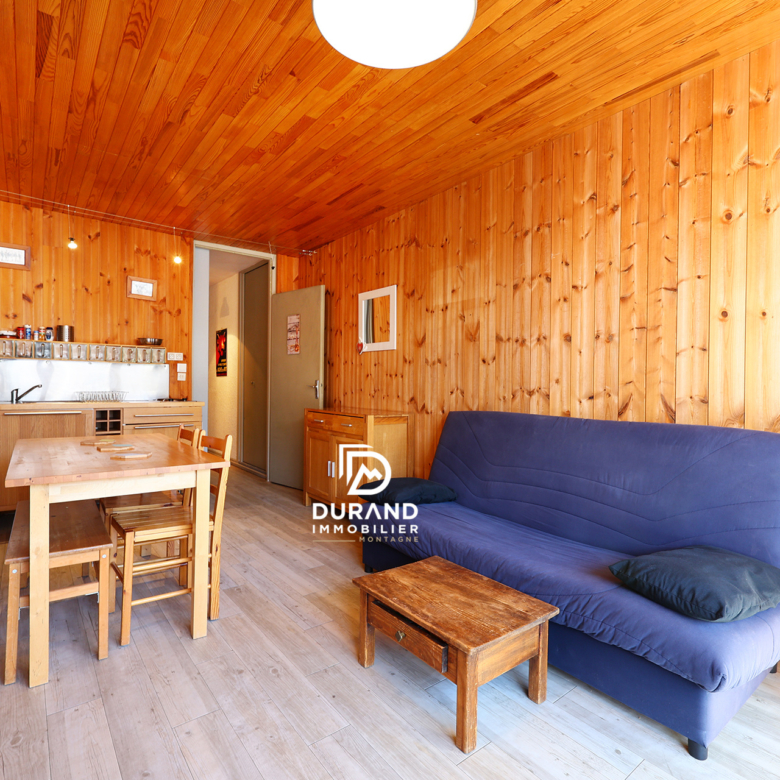 T1 Bis 4 couchages SKIS AUX PIEDS